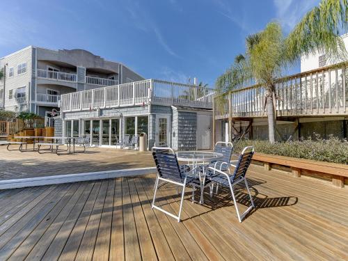 Hibiscus Bravo - image 6