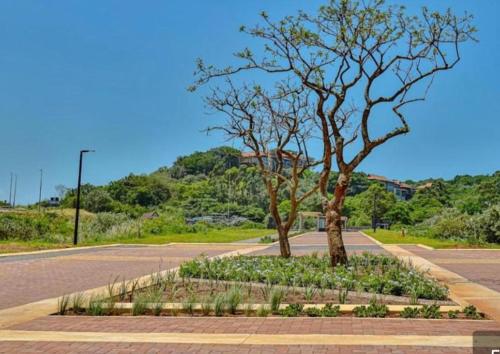 143 Zimbali Lakes Boulevard suite in Ballito