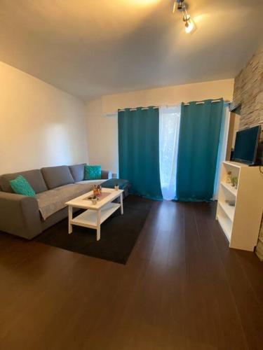 Charmant studio, 10 minutes d’Orly / 20 minutes de Paris - Location saisonnière - Wissous