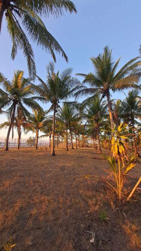 Crossroads Beach House