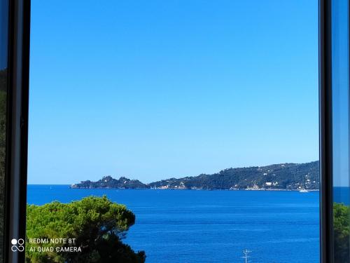 MARE E PORTOFINO - SEA AND PORTOFINO - Apartment - Zoagli