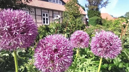 Ferienwohnung Apfelgarten am Pfarrgarten Starkow