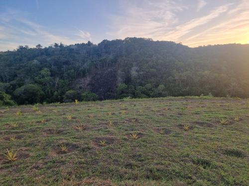 Fazenda de Jehne