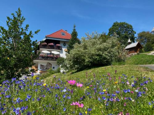 Schwarzwald-Hotel Kraeutle - Accommodation - Feldberg