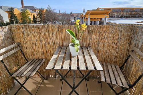 Market Apartman Sopron in อุยเตเลกี กุลวารอส
