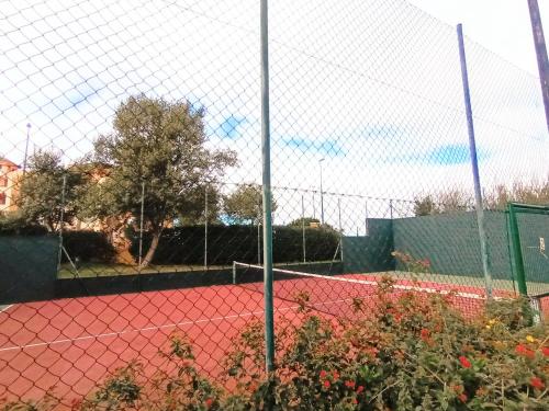 Los Albatros, Isla Canela