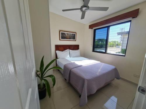 New Door Apartments - image 3