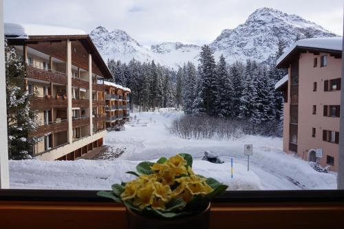 The Window to the Mountains in Arosa, Schweiz