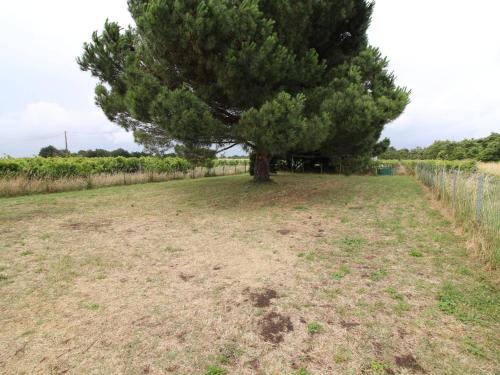 Maison Saint-Georges-d'Oléron, 3 pièces, 5 personnes - FR-1-246A-288