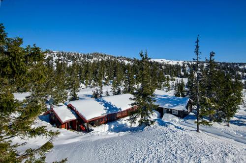 Charming cabin in Sjusjøen with sauna and super location