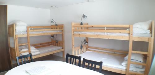 6-Bed Mixed Dormitory Room