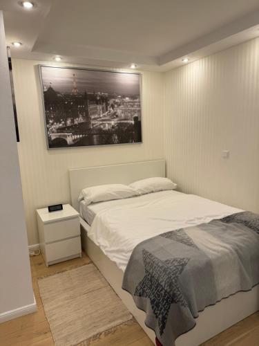 Comfortable Studio Nuremberg, Norimberk (fotografie 10)