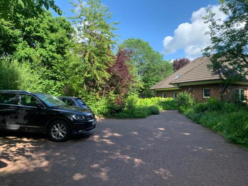 Sonniges Garten-Apartment in ruhiger Parklage