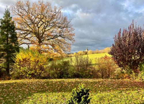 Surrounding environment, SONNENWEG Designwohnung mit Gartenblick in Plauen