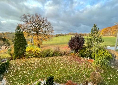 SONNENWEG Designwohnung mit Gartenblick