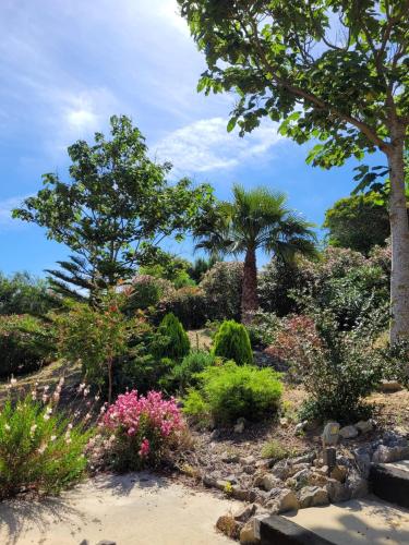 Hotel Sindhura - main image