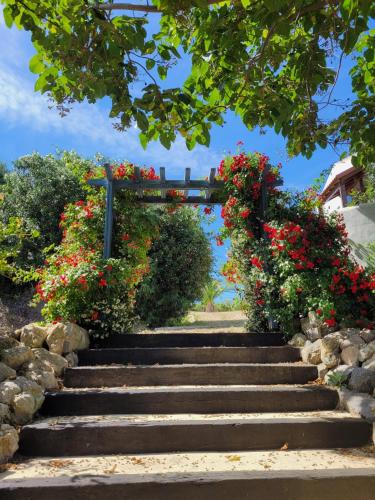 Hotel Sindhura - image 5