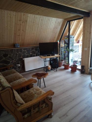 Charpatian Log Cabin Dragoslavele in Valea Hotaruluja