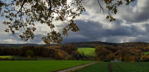 Odenwald-Lodge mit Infrarotsauna und E-Ladestation im Naturpark Odenwald "Haus Himmelblau"