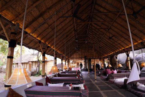 Hampi Crzy Panda in Hampi