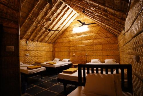 Hampi Crzy Panda in Hampi