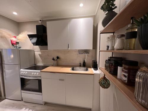 Charming Studio - Free parking - Close to harbour, Bodø (zdjęcie 6)