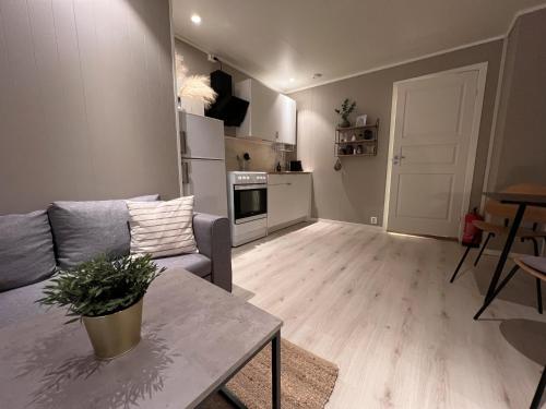 Charming Studio - Free parking - Close to harbour, Bodø (zdjęcie 7)