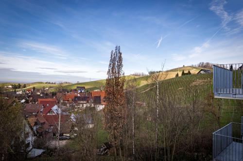 Adler Apartments Sasbachwalden