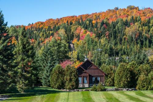 Chalets Royal Laurentien