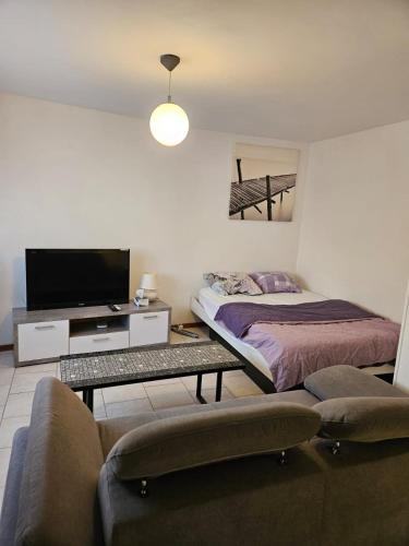 Joli Studio - Apartment - La Chaux-de-Fonds