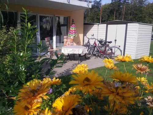 Waldblick Fewo Noeske - GM 69606 in Müritz, Deutschland