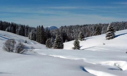 Schöne Aussicht