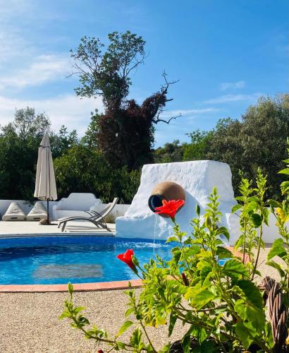 Garden, Quinta Alcarias in Santa Catarina