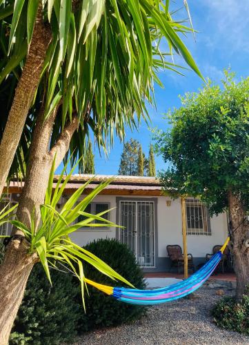 Facilities, Quinta Alcarias in Santa Catarina