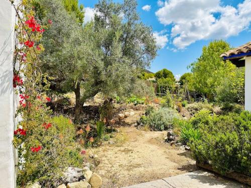 Satori, paradise in rural malaga - Tap to explore photos