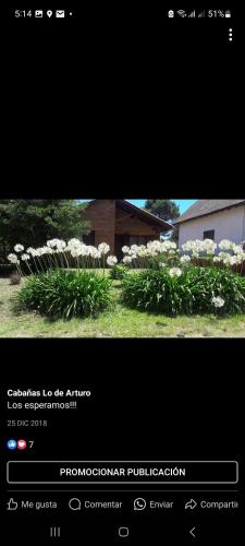 Cabañas Lo De Arturo