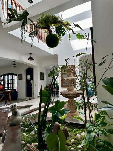 Casa Luana: Luxury Oasis designer villa with pool and garden in Puerto Vallarta, Mexico