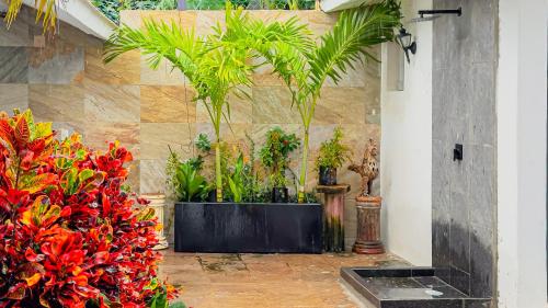 Casa Luana: Luxury Oasis designer villa with pool and garden in Puerto Vallarta, Mexico