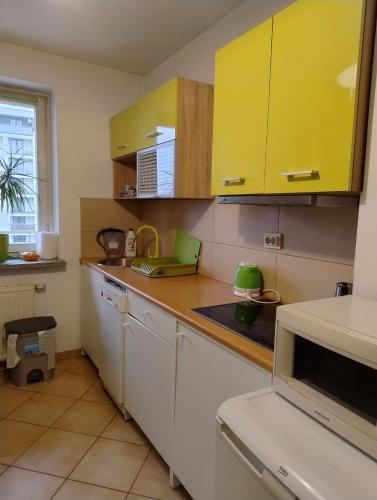 GreenApartament, Cracovie (photo 6)