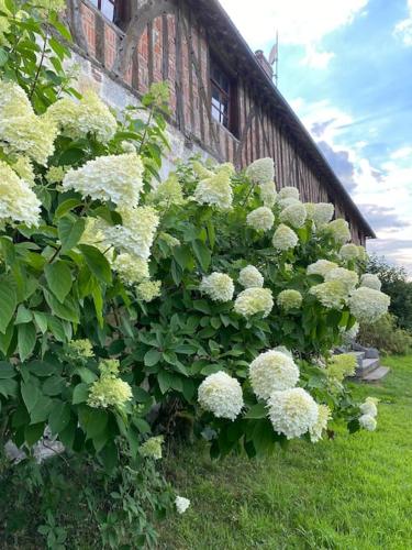 Manoir de la Jaunière maison de charme Pays d’Auge