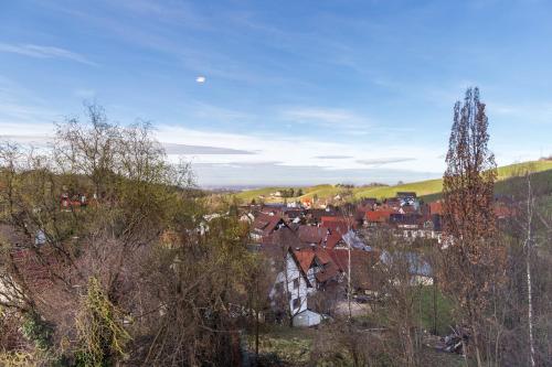 Adler Apartments Sasbachwalden