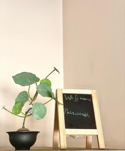 Mohalla Rooftop Retreat - image 11