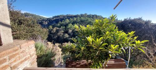 Hospedaje Migue & Cata y Temazcal Kuatlicue Chignahuapan Centro Holistico Hospedaje Migue & Cata y Temazcal Kuatlicue Chignahuapan Centro Holistico