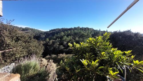 Hospedaje Migue & Cata y Temazcal Kuatlicue Chignahuapan Centro Holistico Hospedaje Migue & Cata y Temazcal Kuatlicue Chignahuapan Centro Holistico