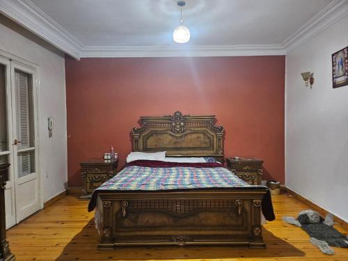 Duplex Apartment Nile View in City center