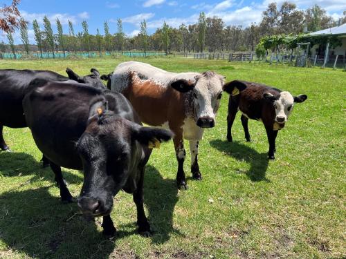 Butterbox Farm in Broadwater