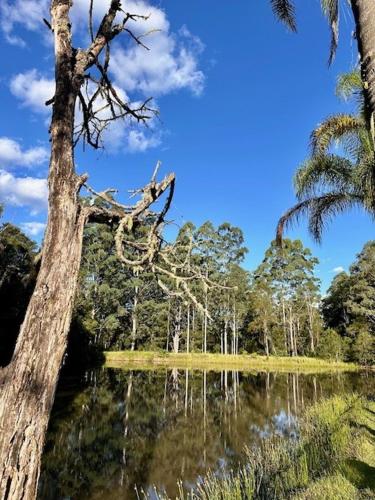 Amble Lea NSW Country escape