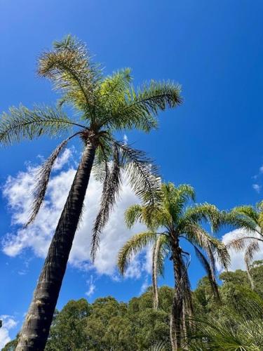 Amble Lea NSW Country escape