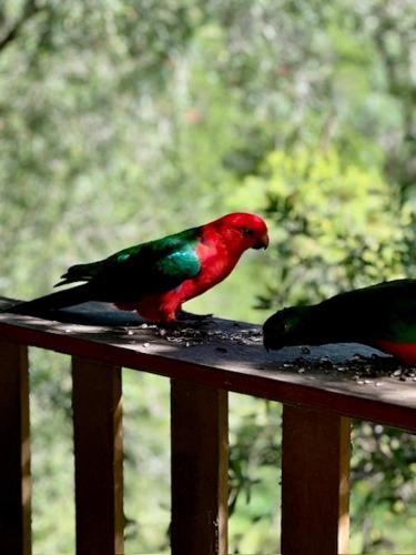 Amble Lea NSW Country escape