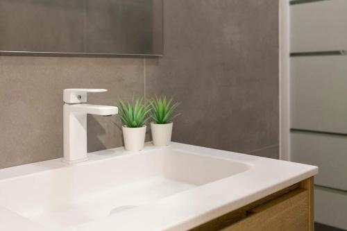 Apartment image 7